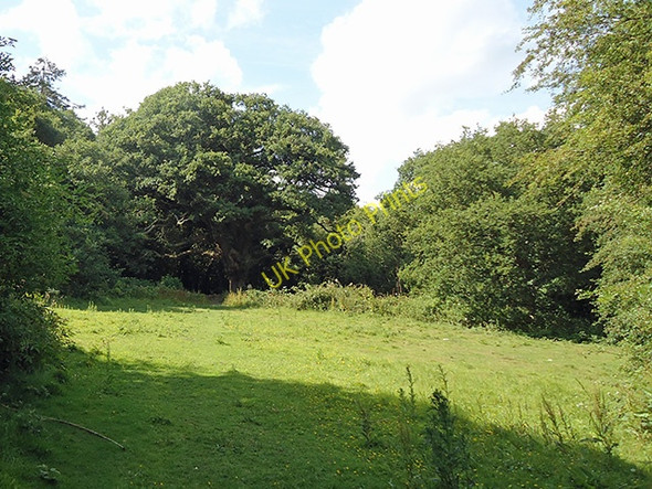 Photo 6"x4" Path through Warren Hill Chingford c2011