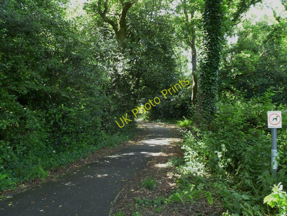 Photo 6"x4" Creekmoor, footpath Poole\/SZ0191 c2011