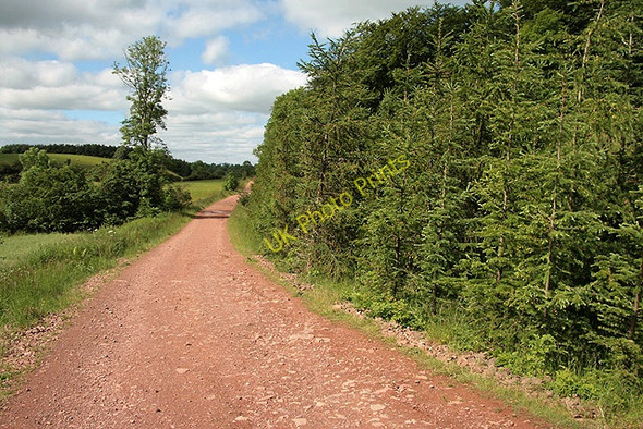 Photo 6"x4" A farm road by Greenside Plantation Bowden\/NT5530 c2011