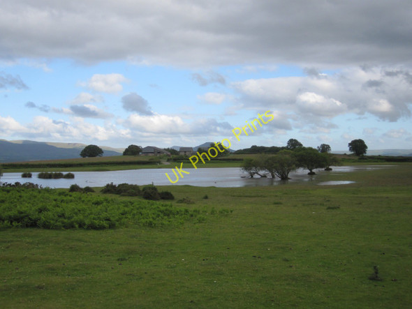 Photo 6"x4" Brechfa Pool, an SSSI and nature reserve Ponde c2011