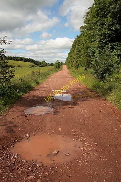 Photo 6"x4" A farm road by Greenside Plantation Bowden\/NT5530 c2011