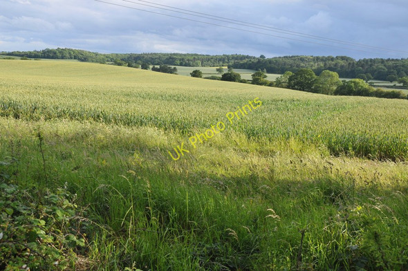 Photo 6"x4" Wheatfields near New End Cookhill c2011