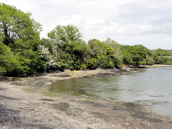 Photo 6"x4" Footpath along the Shore of Frogmore Creek Salcombe c2011