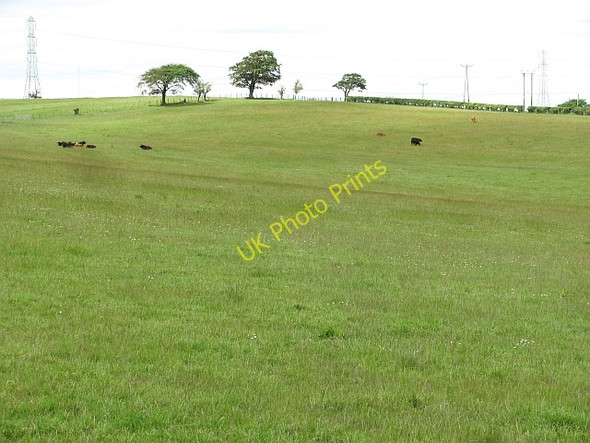 Photo 6"x4" Grassland, Earnockmuir Earnock c2011