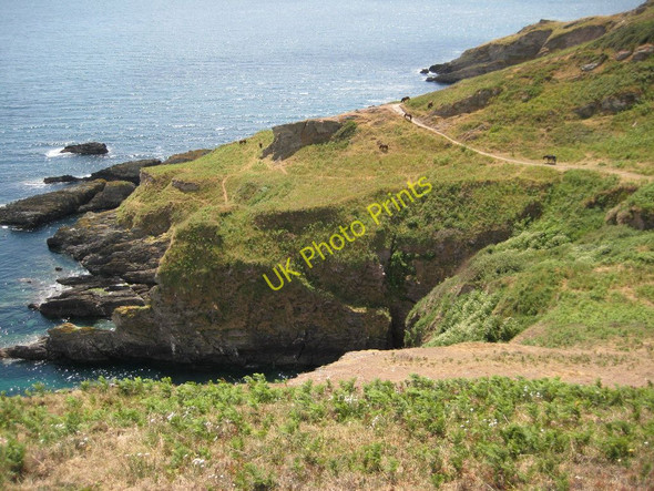 Photo 6"x4" Headland east of Ivy Cove Kingston\/SX9051 c2011