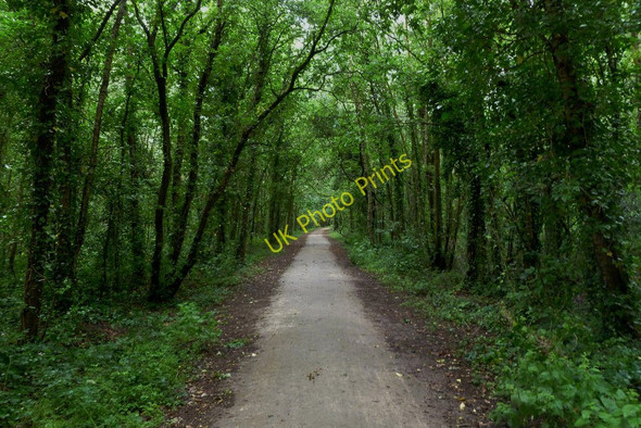 Photo 6"x4" Pinesprings, railway trackbed Hillbourne c2011