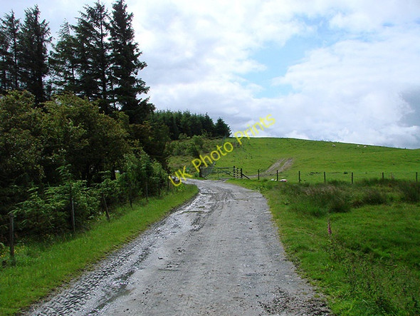 Photo 6"x4" Track to forestry at Ffos y Ffwdan and then onto Bwlch y Groes Llanifyny c2011
