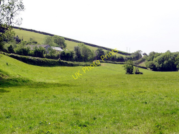 Photo 6"x4" Valley Side near Culverwell Kingsbridge\/SX7344 c2011