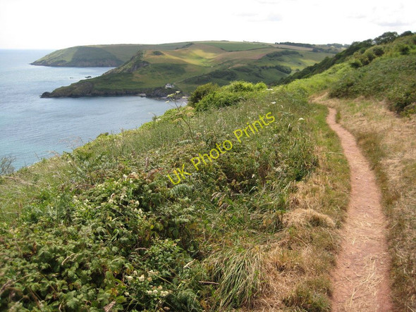 Photo 6"x4" Coast path above Southdown Cliff Brixham c2011