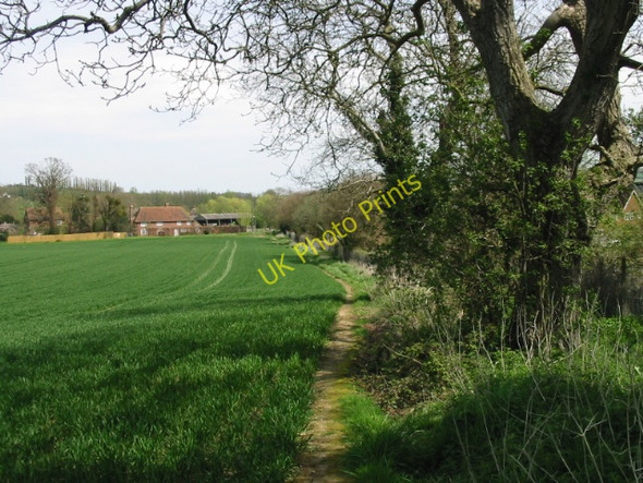 Photo 6"x4" Looking NE along footpath Shalmsford Street c2008
