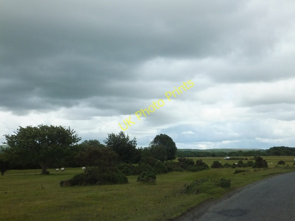 Photo 6"x4" Roborough Down Harrowbeer c2011