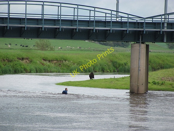 Photo 6"x4" Fording the Clyde Carstairs Junction c2011
