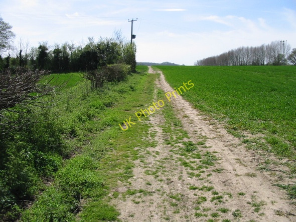 Photo 6"x4" Route of the Stour Valley Walk towards Mystole Lane Shalmsford Street c2008