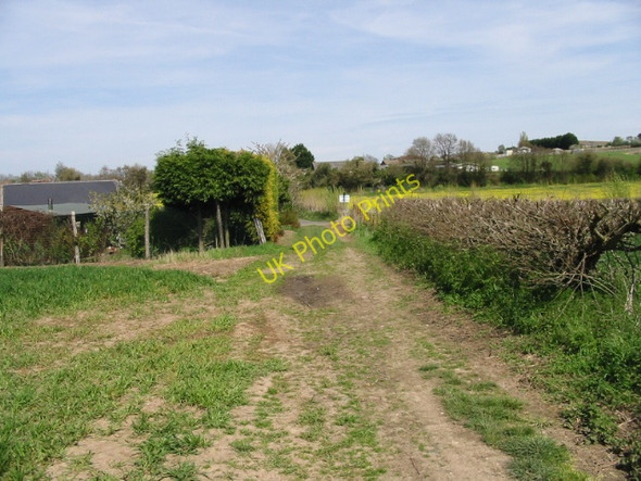 Photo 6"x4" Looking NE along the Stour Valley Walk Shalmsford Street c2008