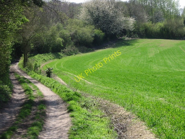 Photo 6"x4" Route of the Stour Valley Walk, looking SW Shalmsford Street c2008
