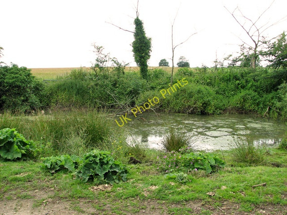 Photo 6"x4" Pond at Falgate Farm, Burgh St Margaret Newgate Corner c2011