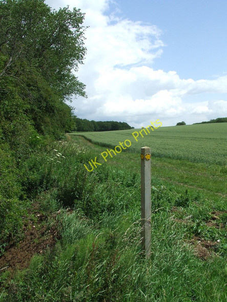Photo 6"x4" Footpath Junction Great Wratting c2011
