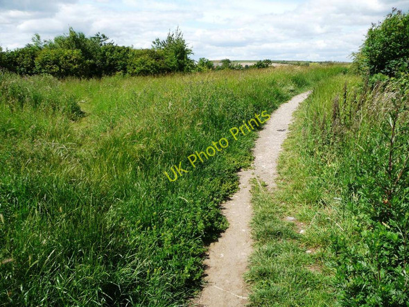 Photo 6"x4" Well-used path off Orchard Head Lane Pontefract c2011