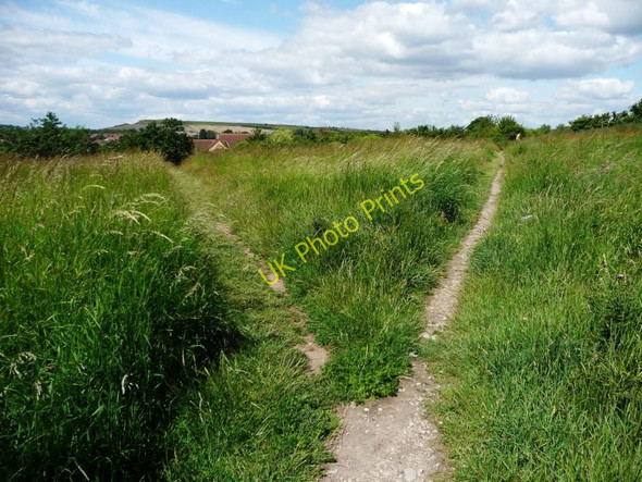 Photo 6"x4" The path divides at Orchard Head Pontefract c2011