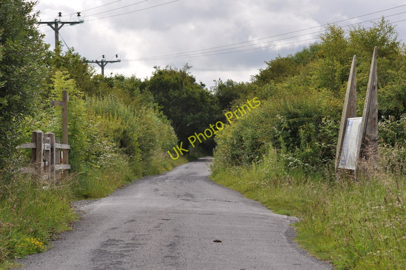 Photo 6"x4" The Tarka Trail to Barnstaple branches right to pass through Anchor Wood Barnstaple c2011