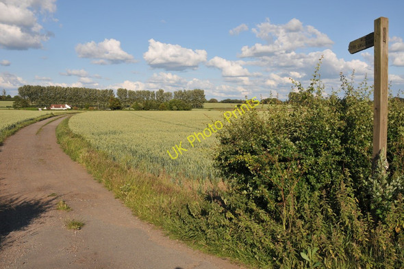 Photo 6"x4" Bridleway off the A38 Birch Green\/SO8545 c2011