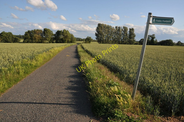 Photo 6"x4" Footpath at Birch Green Birch Green\/SO8545 c2011