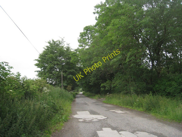Photo 6"x4" Swinescaif Road South Cave c2011