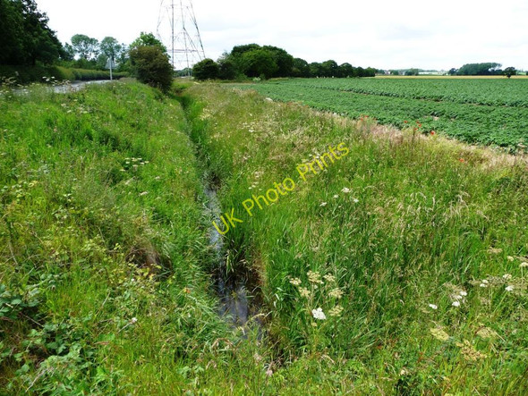 Photo 6"x4" Flower-lined drainage dike Cridling Stubbs c2011