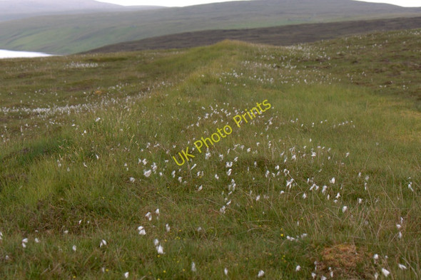 Photo 6"x4" Feely dike, Burrafirth Burrafirth c2011