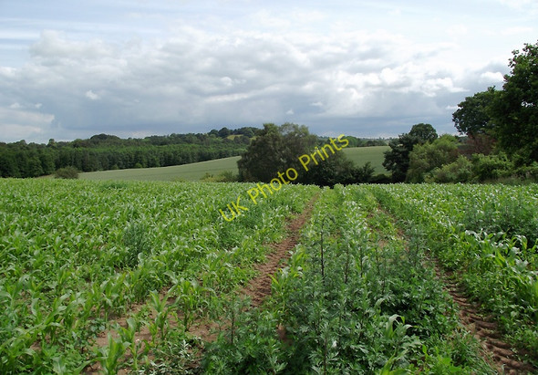 Photo 6"x4" Farmland near Claverley, Shropshire Claverley c2011