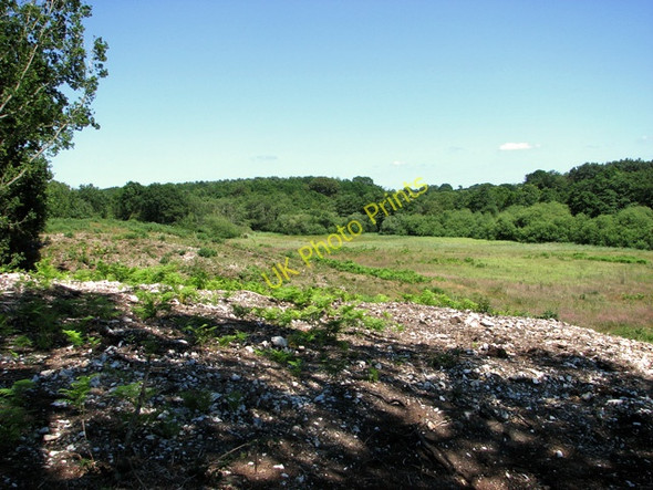 Photo 6"x4" View across the north-eastern part of Holt Lowes Holt\/TG0838 c2011