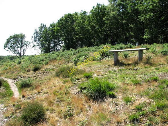 Photo 6"x4" Seat beside a track through Holt Lowes Holt\/TG0838 c2011