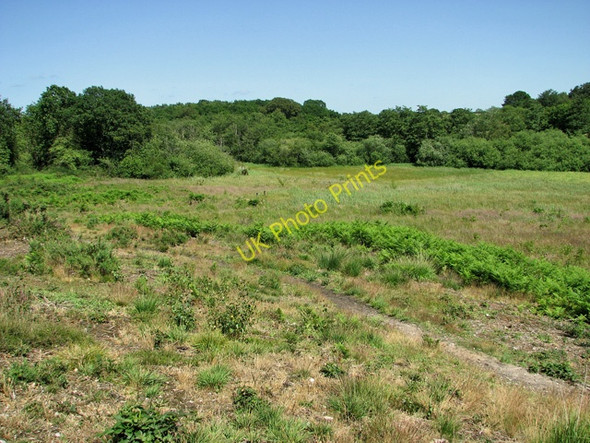 Photo 6"x4" Holt Lowes Holt\/TG0838 c2011