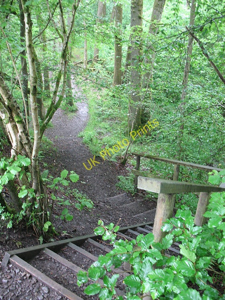 Photo 6"x4" Steps into Brundholme Wood Keswick\/NY2623 c2011