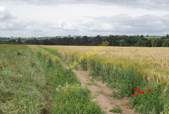 Photo 6"x4" Farmland near Claverley, Shropshire Beobridge c2011