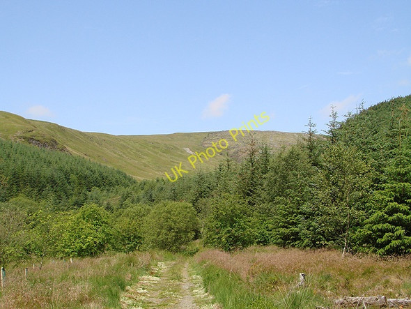 Photo 6"x4" A view towards Pen Pumlumon Arwystli from the Wye Valley Walk in Hafren Forest Pont Rhydgaled c2011