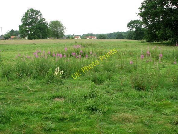 Photo 6"x4" View across Swardeston Common Intwood c2011