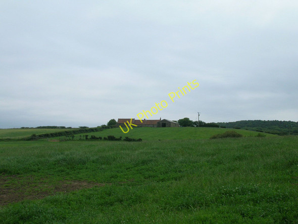 Photo 6"x4" Farmland, Moor Leas Dunsley\/NZ8511 c2011