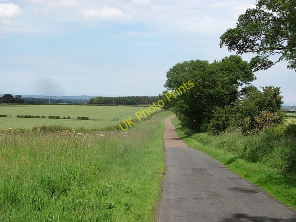 Photo 6"x4" The Border Holefield c2011