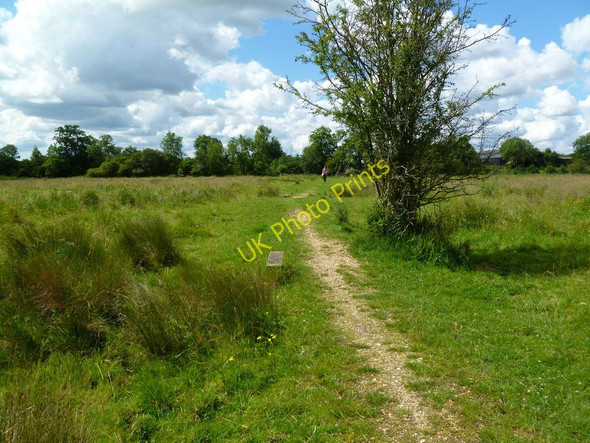 Photo 6"x4" Burgate, footpath Fordingbridge c2011
