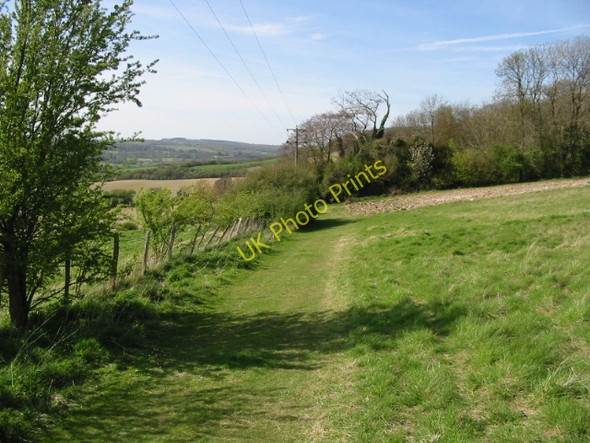 Photo 6"x4" Looking NW along the Stour Valley Walk Bagham c2008