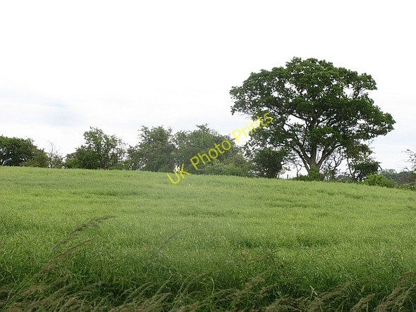 Photo 6"x4" A field by Windywalls Easter Softlaw c2011