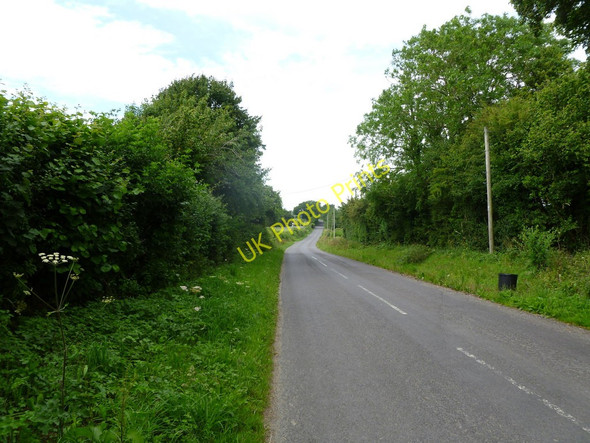 Photo 6"x4" Tarrant Rushton, country road Hogstock c2011