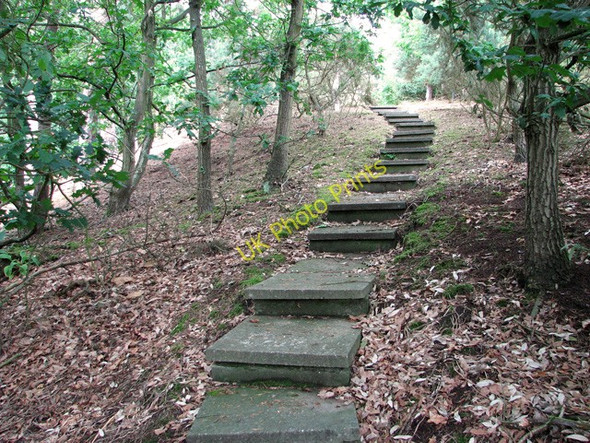 Photo 6"x4" Steps to Holton Mill Holton\/TM4077 c2011