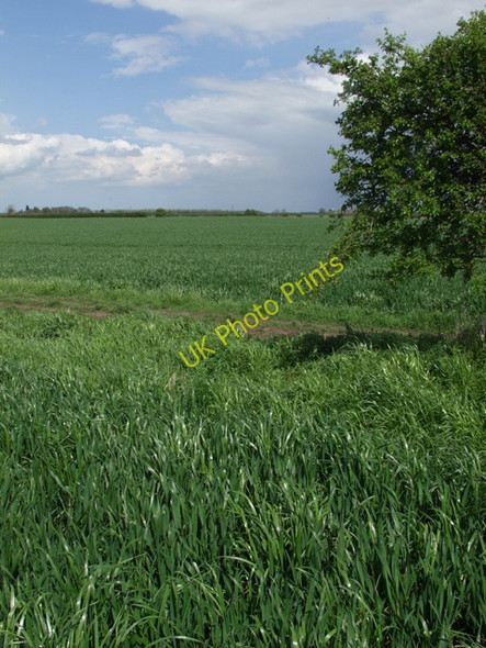 Photo 6"x4" Tickton Carrs Tickton c2008
