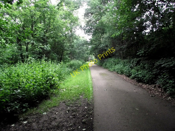 Photo 6"x4" Along the lane Biddulph c2011