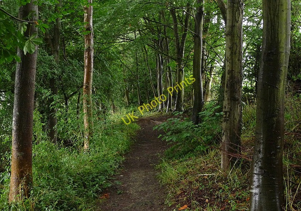 Photo 6"x4" Path near Weston Rhyn Nefod c2010