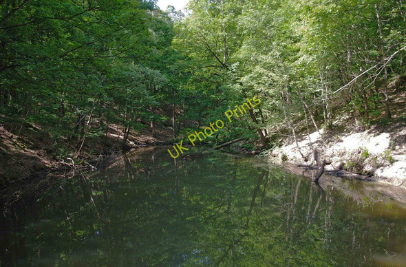Photo 6"x4" Pond in Wyre Forest near Bewdley Bewdley\/SO7875 c2011