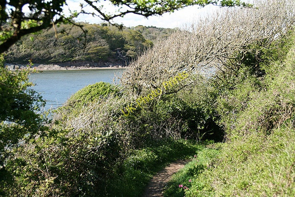 Photo 6"x4" Kingston: by Wrinkle Wood Kingston\/SX6347 c2008