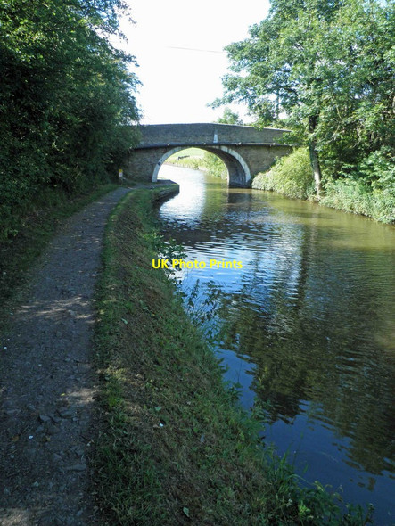 Photo 6"x4" Horse Close bridge over the Leeds Liverpool Canal, Skipton Skipton c2011